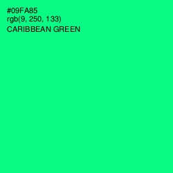 #09FA85 - Caribbean Green Color Image